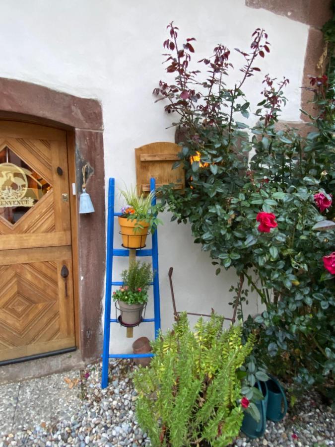Hotel Le Nid De Cigognes Hengwiller Zewnętrze zdjęcie