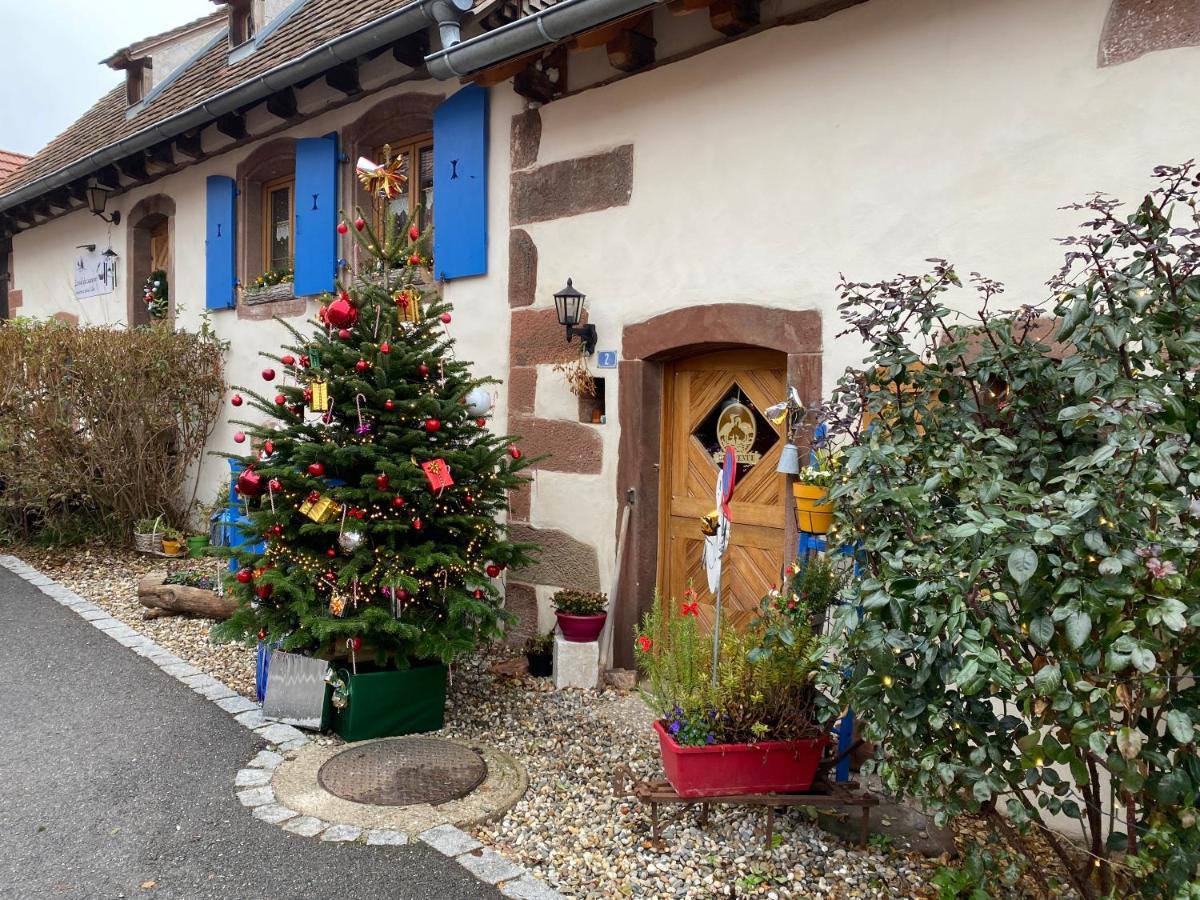 Hotel Le Nid De Cigognes Hengwiller Zewnętrze zdjęcie