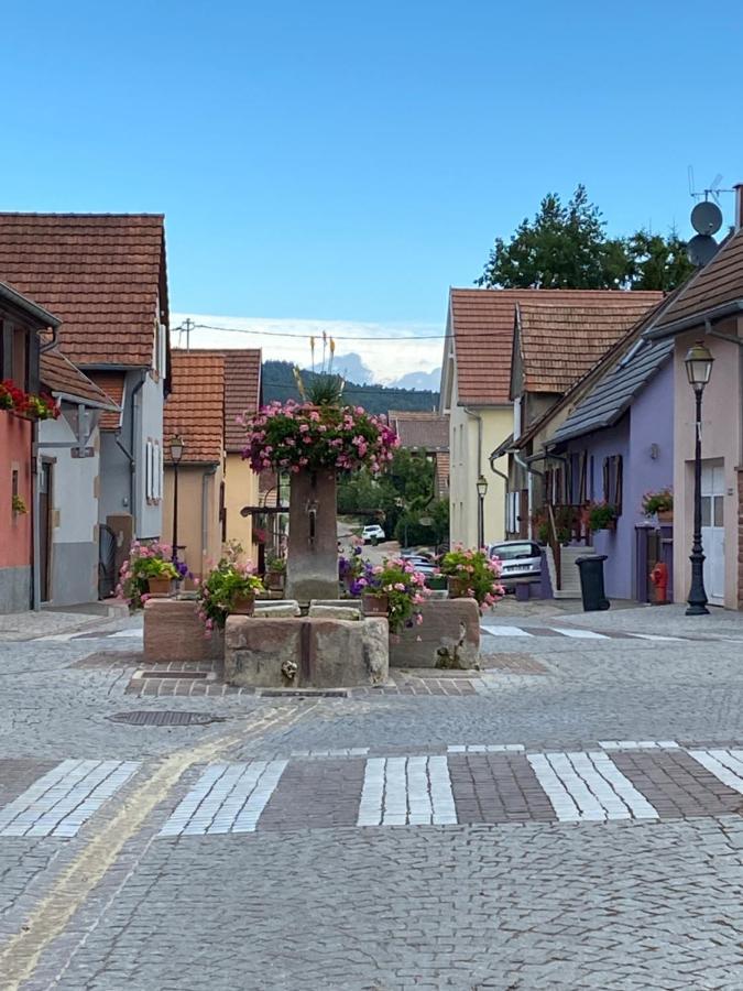 Hotel Le Nid De Cigognes Hengwiller Zewnętrze zdjęcie