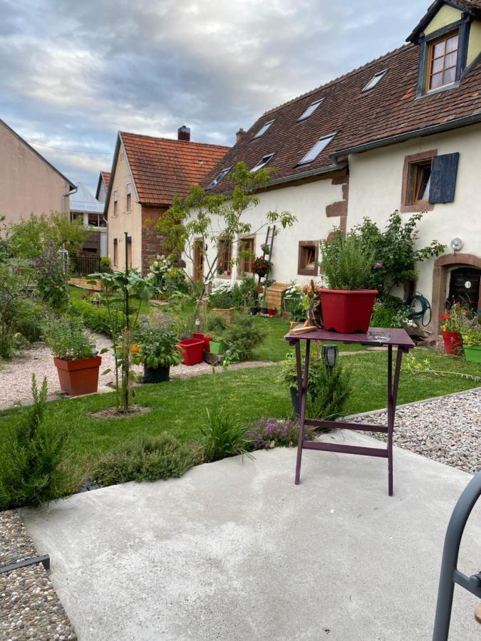 Hotel Le Nid De Cigognes Hengwiller Zewnętrze zdjęcie