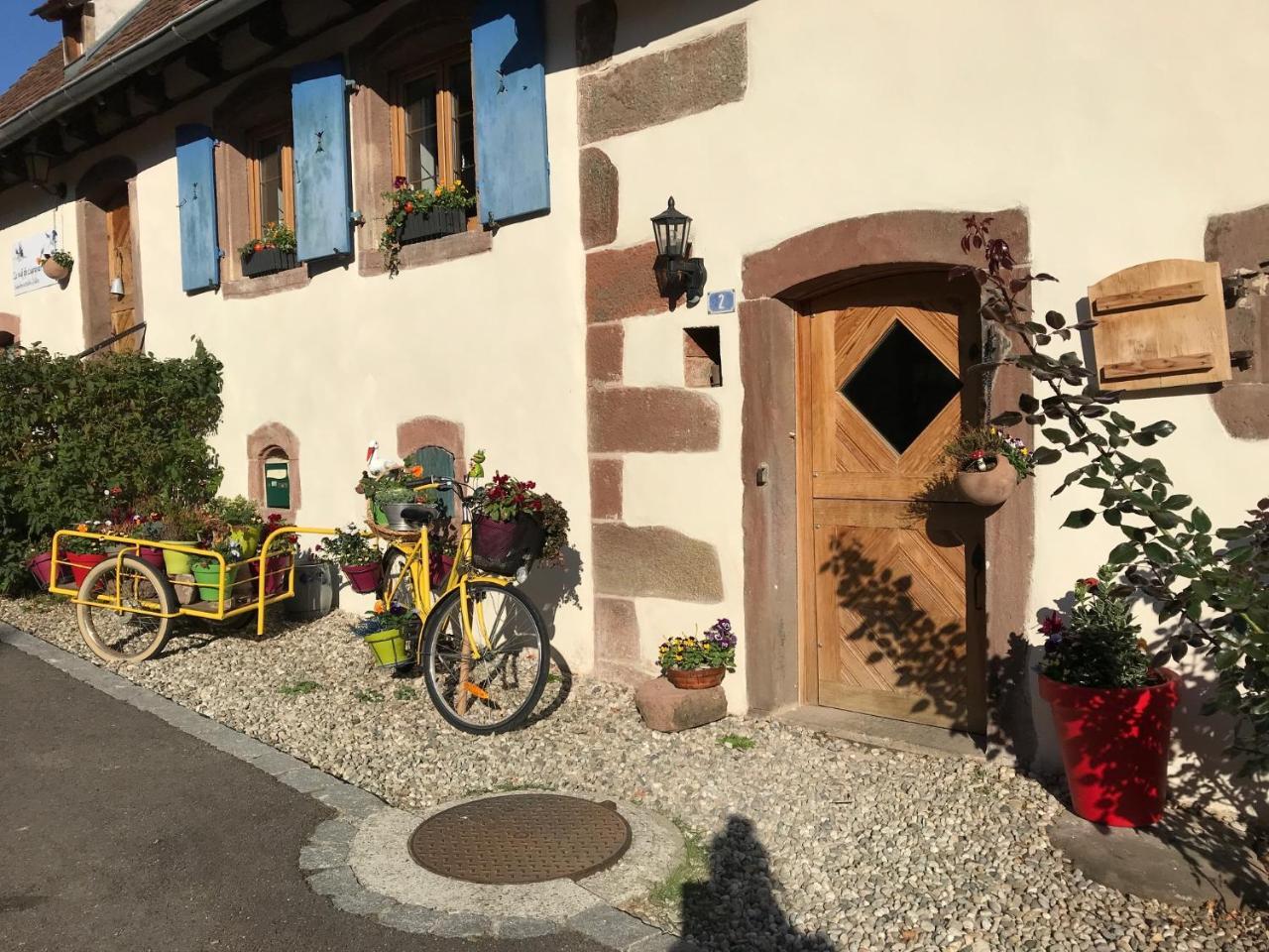 Hotel Le Nid De Cigognes Hengwiller Zewnętrze zdjęcie